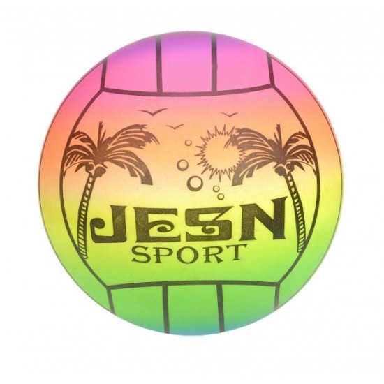 Bola volley de praia 32524
